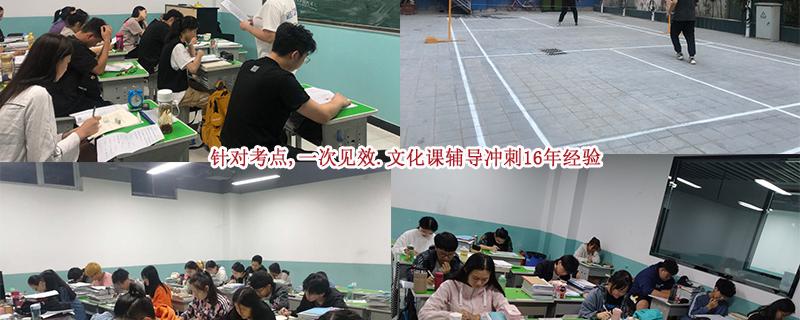 廣西省玉林市藝考文化課語(yǔ)文沖刺哪家好