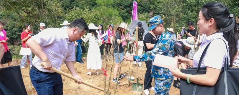 河池羅城縣初3集訓(xùn)學(xué)校排行榜