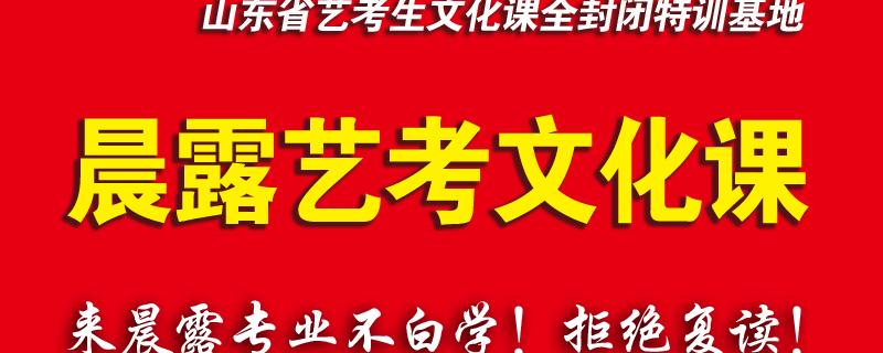 濟(jì)南晨露臨沂藝考文化課集訓(xùn)語(yǔ)文高考備考正確方向