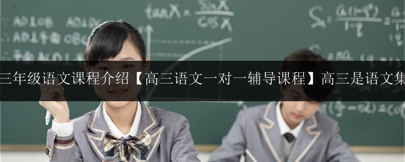 高中三年級語文課程介紹【高三語文一對一輔導(dǎo)課程】高三是語文集大成